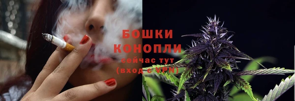 apvp Богданович