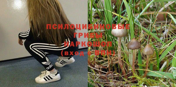 кокаин Богородицк