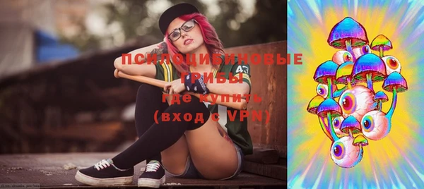 apvp Богданович