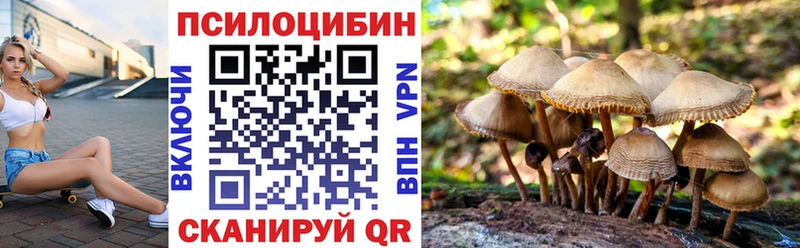 Галлюциногенные грибы прущие грибы  OMG рабочий сайт  Новый Уренгой 